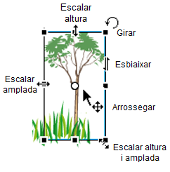 Tipos de transformación